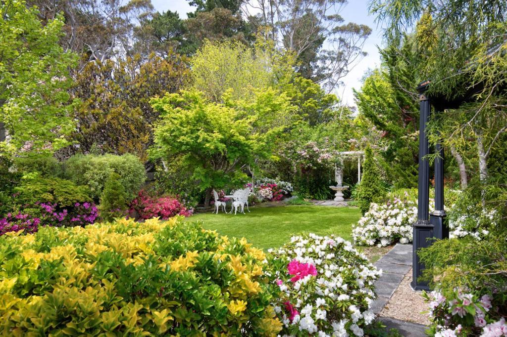 Winston Cottage At Three Sisters Katoomba Kültér fotó