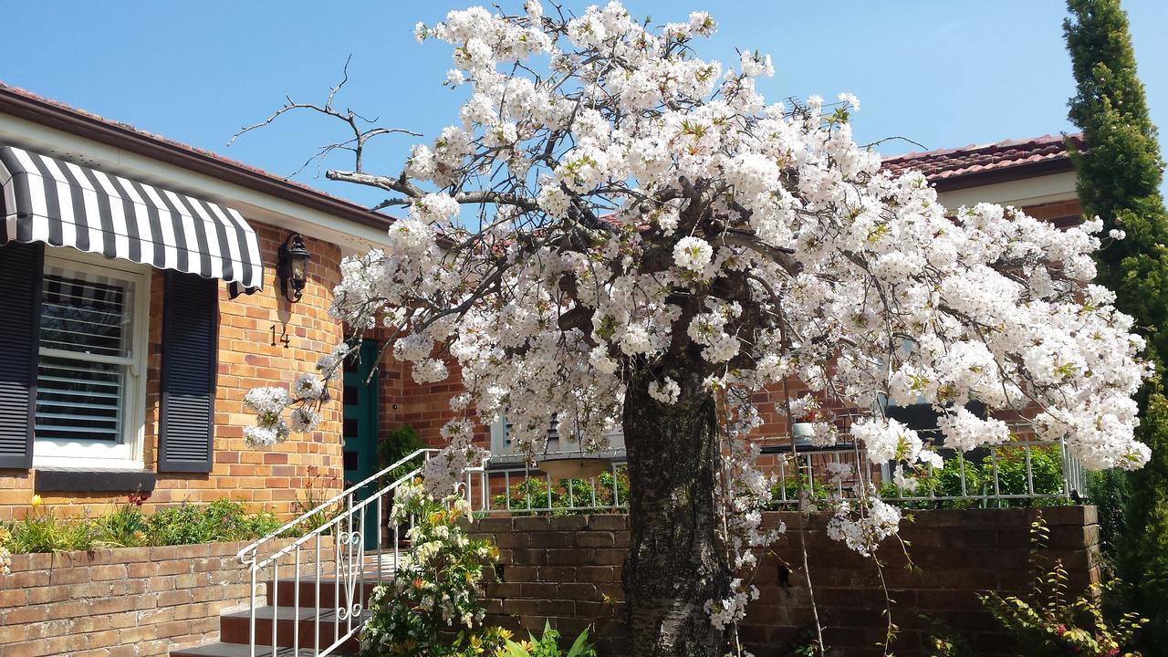 Winston Cottage At Three Sisters Katoomba Kültér fotó