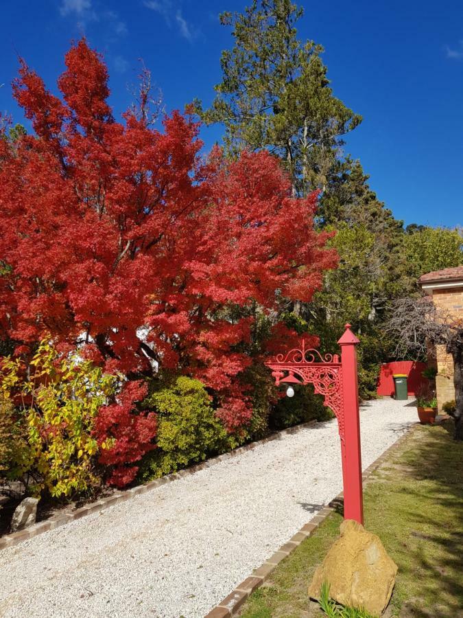 Winston Cottage At Three Sisters Katoomba Kültér fotó